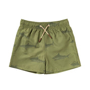 Sharks Swim Shorts - Iguana