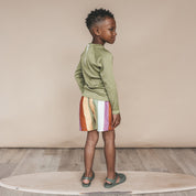 Multi Stripe Swim Shorts - Multicolor
