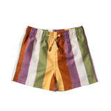 Multi Stripe Swim Shorts - Multicolor