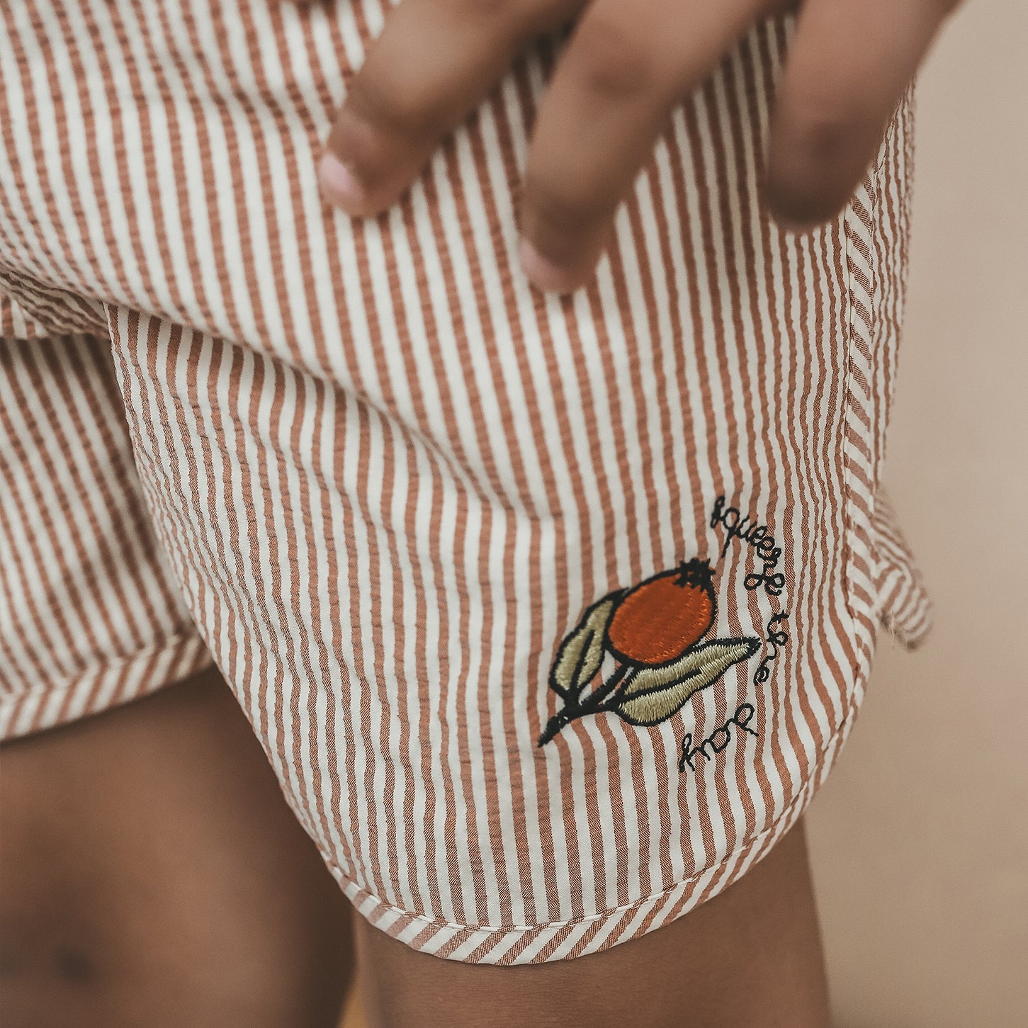 Seer Sucker Swim Shorts - Bombay Brown