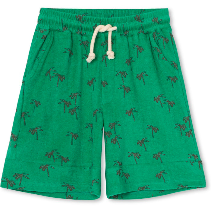 Jay Shorts Terry in Palm Tree Print