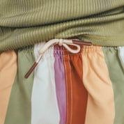 Multi Stripe Swim Shorts - Multicolor