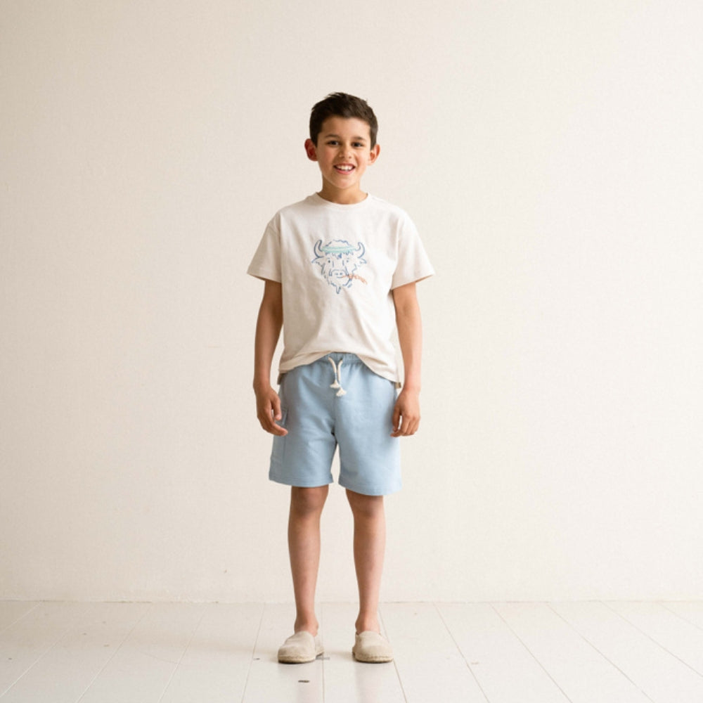 Cargo Shorts – Country Blue
