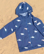 Dinosaur Color Changing Raincoat