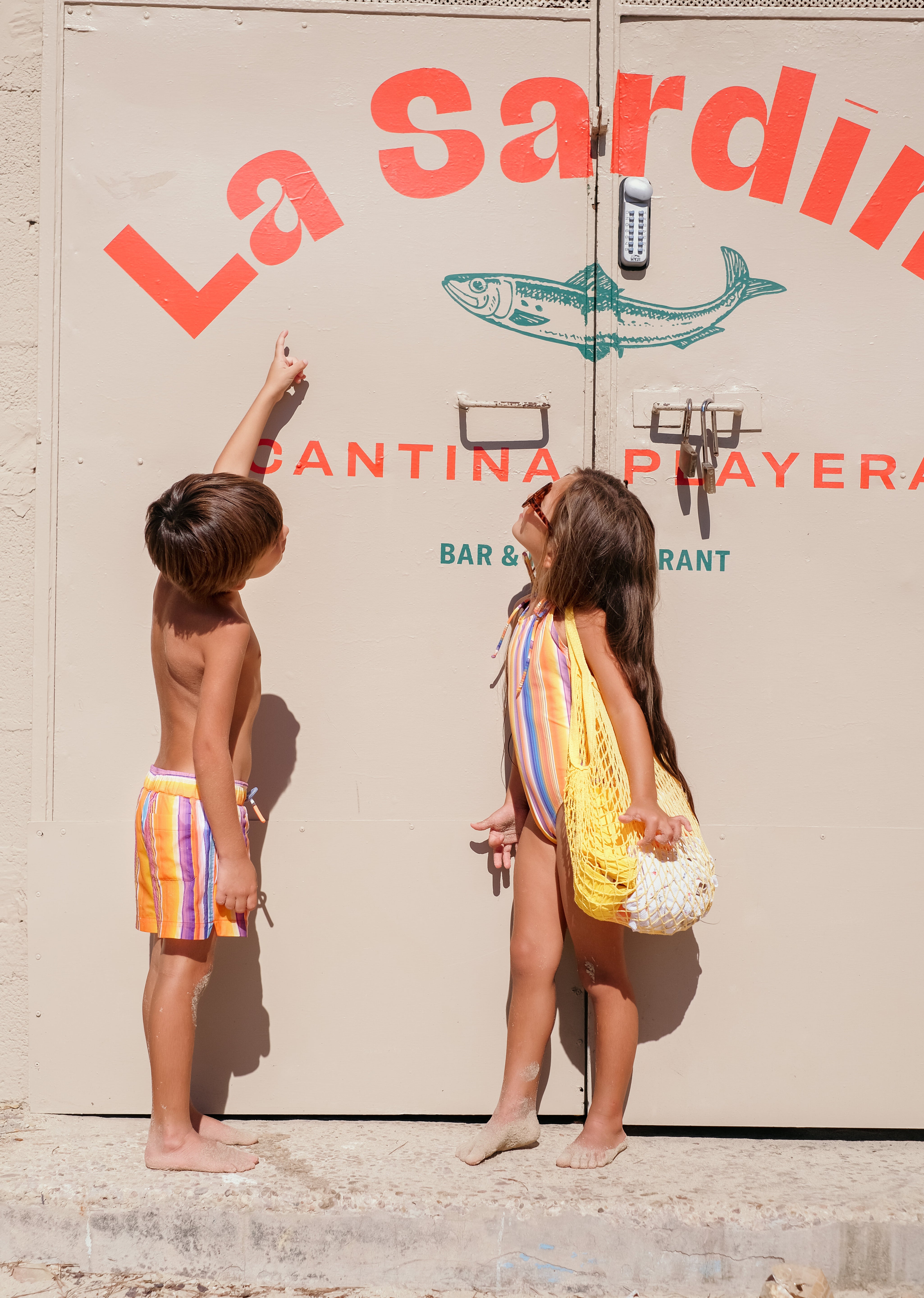 Arizona Striped Swim Shorts