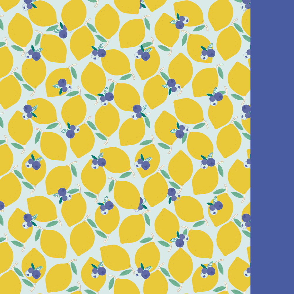 Lemonberry Swimsuit